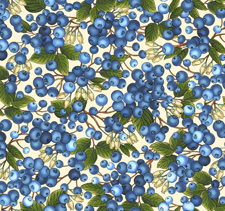 This & That Favorites    